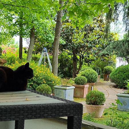 Villa Lanni Cassino Zewnętrze zdjęcie