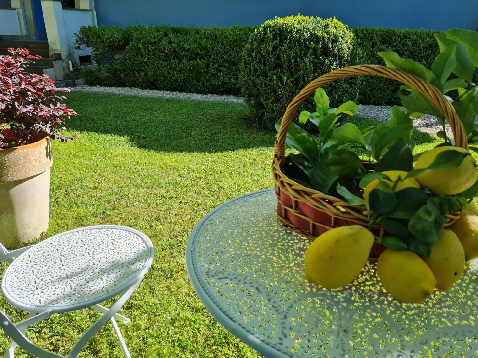 Villa Lanni Cassino Zewnętrze zdjęcie