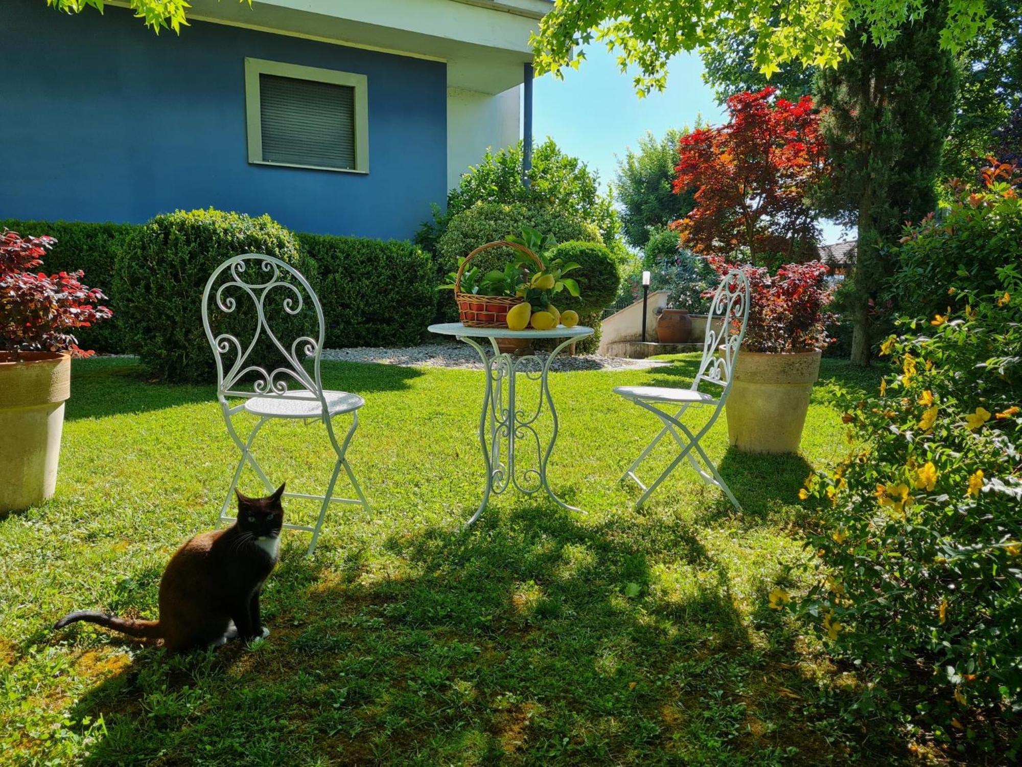 Villa Lanni Cassino Zewnętrze zdjęcie